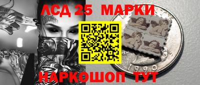 шишки Камышлов