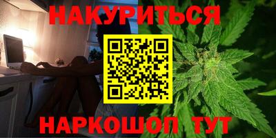 шишки Камышлов