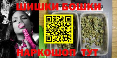 шишки Камышлов
