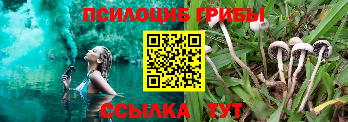 Галлюциногенные грибы ЛСД  Вход с VPN  Людиново 