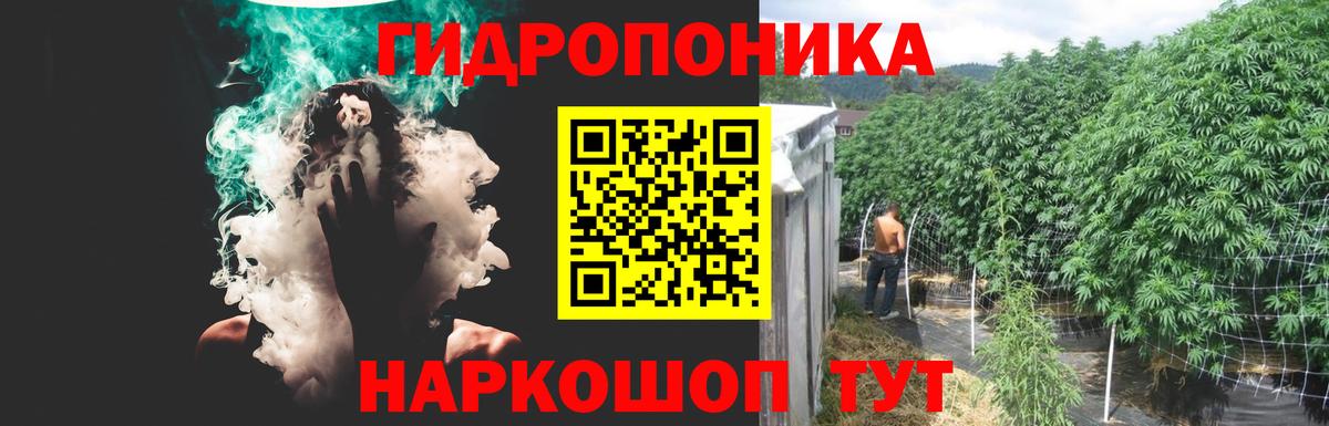Людиново  Канабис семена  Марихуана план  Бошки марихуана планчик  Вход с VPN 